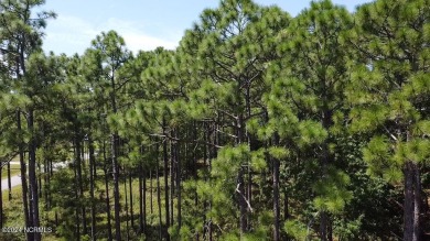 Want privacy and the ability to Build your dream home or on The Lakes Country Club in North Carolina - for sale on GolfHomes.com, golf home, golf lot