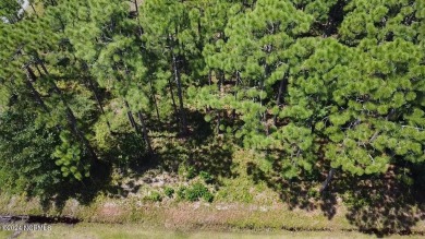 Want privacy and the ability to Build your dream home or on The Lakes Country Club in North Carolina - for sale on GolfHomes.com, golf home, golf lot