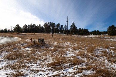 For more information, please contact listing agents Scot Munro on Boulder Canyon Country Club in South Dakota - for sale on GolfHomes.com, golf home, golf lot