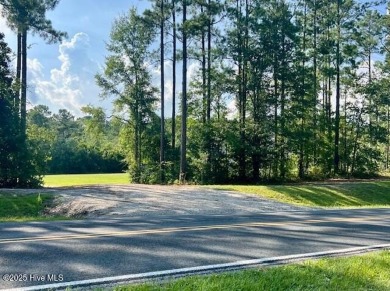 Just 10 minutes from the BEACH and close to GOLF, BOATING on Star Hill Golf Club  in North Carolina - for sale on GolfHomes.com, golf home, golf lot