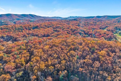 SUPERIOR LOCATION!  52.56 Acres for Sale Zoned R3 (37.34 Acres) on Hunting Hills Country Club in Virginia - for sale on GolfHomes.com, golf home, golf lot