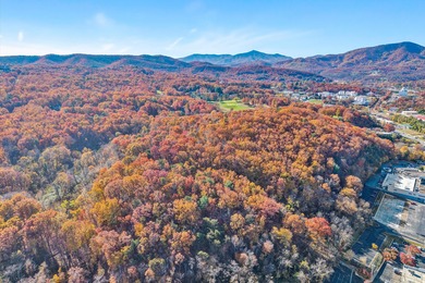 SUPERIOR LOCATION!  52.56 Acres for Sale Zoned R3 (37.34 Acres) on Hunting Hills Country Club in Virginia - for sale on GolfHomes.com, golf home, golf lot