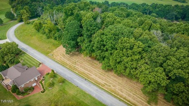 Build Your Dream Home in Golf Course Paradise! Discover the on Graysburg Hills Golf Courses in Tennessee - for sale on GolfHomes.com, golf home, golf lot