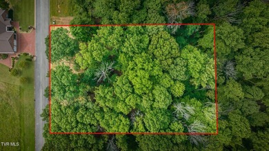 Build Your Dream Home in Golf Course Paradise! Discover the on Graysburg Hills Golf Courses in Tennessee - for sale on GolfHomes.com, golf home, golf lot