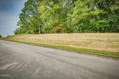 Build Your Dream Home in Golf Course Paradise! Discover the on Graysburg Hills Golf Courses in Tennessee - for sale on GolfHomes.com, golf home, golf lot