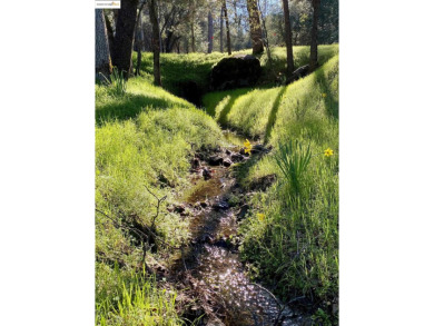 Welcome to the Gateway to Yosemite, Groveland! This 3 bedroom 2 on Pine Mountain Lake Country Club in California - for sale on GolfHomes.com, golf home, golf lot