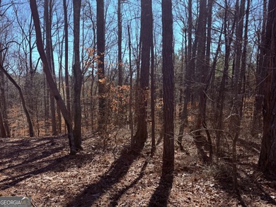 Build your dream home in the Beautiful gated community of on Fairfield Plantation Golf and Country Club in Georgia - for sale on GolfHomes.com, golf home, golf lot