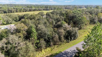 Own your own slice of affordable Florida with this undeveloped on Citrus Springs Country Club in Florida - for sale on GolfHomes.com, golf home, golf lot