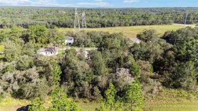 Own your own slice of affordable Florida with this undeveloped on Citrus Springs Country Club in Florida - for sale on GolfHomes.com, golf home, golf lot