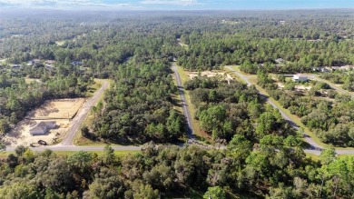 Own your own slice of affordable Florida with this undeveloped on Citrus Springs Country Club in Florida - for sale on GolfHomes.com, golf home, golf lot
