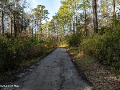 Just under an acre of waterfront property in the Sunset Lakes on Oyster Bay Golf Links in North Carolina - for sale on GolfHomes.com, golf home, golf lot