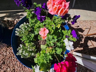 Furnished with a golf cart, this expanded 1BD 1BA home boasts on Viewpoint Golf Resort in Arizona - for sale on GolfHomes.com, golf home, golf lot