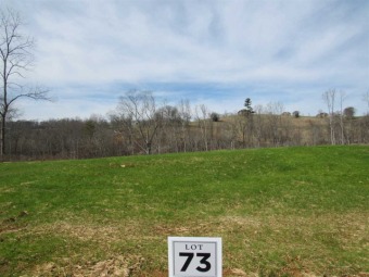 Beautiful lot in lakefront community.  $275 HOA fees which on The Country Club Inc. in Tennessee - for sale on GolfHomes.com, golf home, golf lot