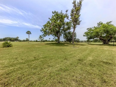 Under contract-accepting backup offers. Offering the most on Capri Isle Golf Club in Florida - for sale on GolfHomes.com, golf home, golf lot