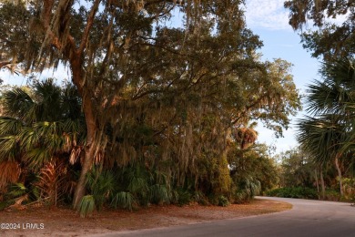 Maybe the most unique lot setting on Fripp Island. Last lot at on Ocean Creek Golf Course in South Carolina - for sale on GolfHomes.com, golf home, golf lot