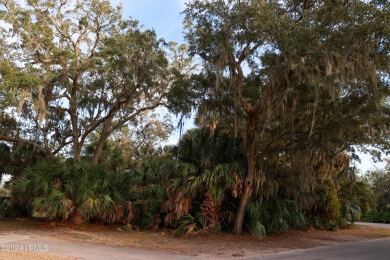 Maybe the most unique lot setting on Fripp Island. Last lot at on Ocean Creek Golf Course in South Carolina - for sale on GolfHomes.com, golf home, golf lot