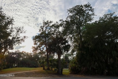 Maybe the most unique lot setting on Fripp Island. Last lot at on Ocean Creek Golf Course in South Carolina - for sale on GolfHomes.com, golf home, golf lot