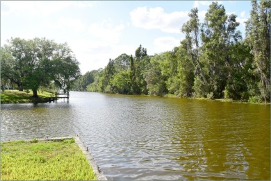 Welcome to the lake community of Indian Lake Estates--a golfing on Indian Lake Estates Golf and Country Club in Florida - for sale on GolfHomes.com, golf home, golf lot