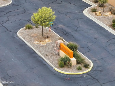 You can own one of the largest lots in the neighborhood and make on Estrella Mountain Ranch Golf Course in Arizona - for sale on GolfHomes.com, golf home, golf lot