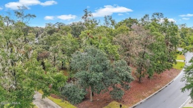 Close the back gate, shopping, groceries, dining  more!  Welcome on Belfair Golf Club in South Carolina - for sale on GolfHomes.com, golf home, golf lot