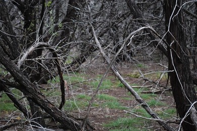 Experience the peace and security of living in a 24-7 gated on White Bluff Resort - New Course in Texas - for sale on GolfHomes.com, golf home, golf lot