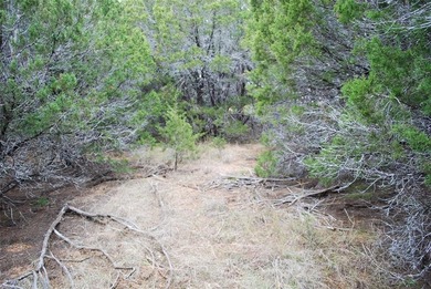 Experience the peace and security of living in a 24-7 gated on White Bluff Resort - New Course in Texas - for sale on GolfHomes.com, golf home, golf lot