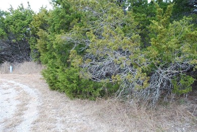 Experience the peace and security of living in a 24-7 gated on White Bluff Resort - New Course in Texas - for sale on GolfHomes.com, golf home, golf lot