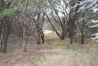 Experience the peace and security of living in a 24-7 gated on White Bluff Resort - New Course in Texas - for sale on GolfHomes.com, golf home, golf lot