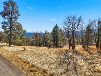 Listed by Holly Hultgren, KWBH, . Nestled in the foothills of on Boulder Canyon Country Club in South Dakota - for sale on GolfHomes.com, golf home, golf lot