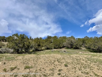 This hillside wooded lot offers over half an acre with on Lakota Canyon Ranch and Golf Club in Colorado - for sale on GolfHomes.com, golf home, golf lot