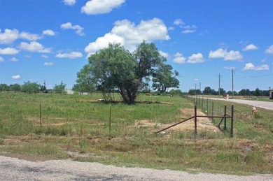 DEVELOPER NEEDED for this PLAT-APPROVED subdivision in Somervell on Squaw Valley Golf Course in Texas - for sale on GolfHomes.com, golf home, golf lot