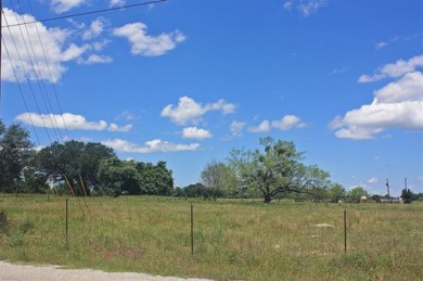 DEVELOPER NEEDED for this PLAT-APPROVED subdivision in Somervell on Squaw Valley Golf Course in Texas - for sale on GolfHomes.com, golf home, golf lot