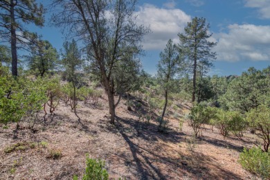 Wonderful 0.91 acre lot backing to the 7th fairway with awesome on The Golf Club At Chaparral Pines in Arizona - for sale on GolfHomes.com, golf home, golf lot