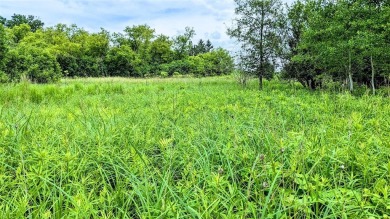 Build, Hunt, Farm! This 29.03 +/- acres is just that. With the on Pine Crest Golf Course in Wisconsin - for sale on GolfHomes.com, golf home, golf lot