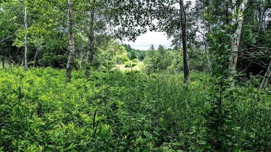 Build, Hunt, Farm! This 29.03 +/- acres is just that. With the on Pine Crest Golf Course in Wisconsin - for sale on GolfHomes.com, golf home, golf lot