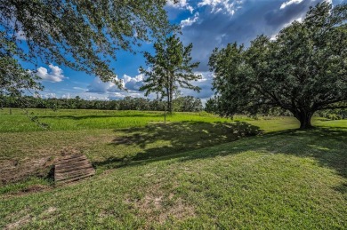 Welcome to your family's next adventure in the warm and on Rivard Golf and Country Club in Florida - for sale on GolfHomes.com, golf home, golf lot