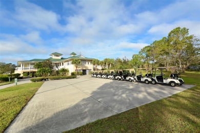 Discover Effortless Florida Living!
Welcome to this beautifully on The Preserve Golf Club At Tara in Florida - for sale on GolfHomes.com, golf home, golf lot