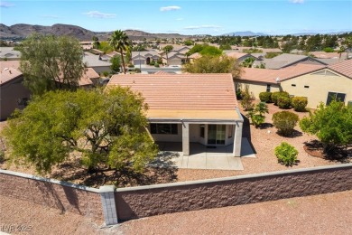 Charming 3 Bedroom Home with Stunning Ascaya Views in Sun City on Desert Willow Golf Course in Nevada - for sale on GolfHomes.com, golf home, golf lot
