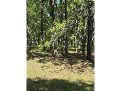 Beautiful treed 2 and a half lots in The Pinnacle Golf Club on on Pinnacle Golf and Boat Club in Texas - for sale on GolfHomes.com, golf home, golf lot