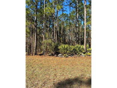 Desirable vacant lot (No HOA) approximately 1/4 acre in on Marion Oaks Country Club in Florida - for sale on GolfHomes.com, golf home, golf lot