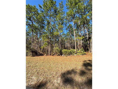 Desirable vacant lot (No HOA) approximately 1/4 acre in on Marion Oaks Country Club in Florida - for sale on GolfHomes.com, golf home, golf lot