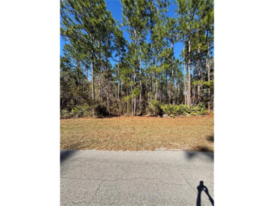 Desirable vacant lot (No HOA) approximately 1/4 acre in on Marion Oaks Country Club in Florida - for sale on GolfHomes.com, golf home, golf lot