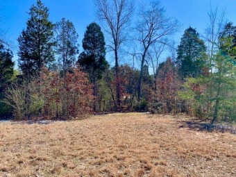 Perfect lot for your dream home in beautiful Cedar Ridge! on Millstone Golf Club in Tennessee - for sale on GolfHomes.com, golf home, golf lot