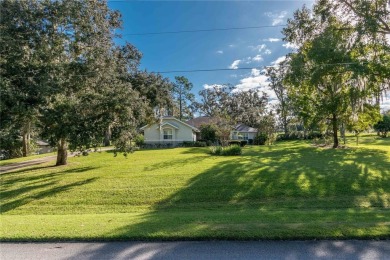 Experience the best that Ocala has to offer! Nestled within the on Golden Hills Golf and Turf Club in Florida - for sale on GolfHomes.com, golf home, golf lot