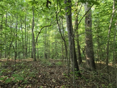 Discover the perfect spot to build your dream home on this on The Trail At Chickasaw Pointe in South Carolina - for sale on GolfHomes.com, golf home, golf lot