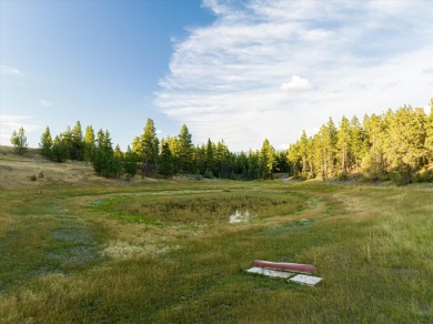 Introducing one of Northern Montana's most remarkable properties on Wilderness Club in Montana - for sale on GolfHomes.com, golf home, golf lot