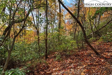 Come build your dream mountain retreat! This gentle sloping on Beech Mountain Club in North Carolina - for sale on GolfHomes.com, golf home, golf lot