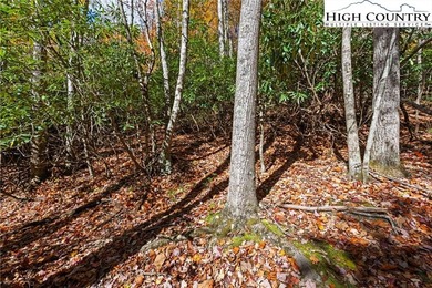 Come build your dream mountain retreat! This gentle sloping on Beech Mountain Club in North Carolina - for sale on GolfHomes.com, golf home, golf lot