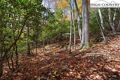 Come build your dream mountain retreat! This gentle sloping on Beech Mountain Club in North Carolina - for sale on GolfHomes.com, golf home, golf lot