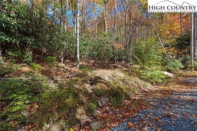 Come build your dream mountain retreat! This gentle sloping on Beech Mountain Club in North Carolina - for sale on GolfHomes.com, golf home, golf lot